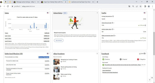 💼 Expand Your Business with eBay! eBay Seller Account Creation & Handling